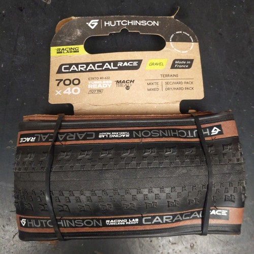 Hutchinson caracal race - caracal,